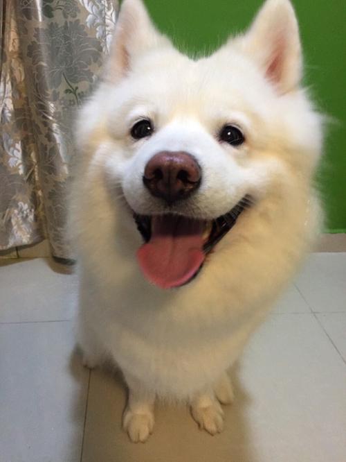 ýعɫҵܺ˱鲼ȫ